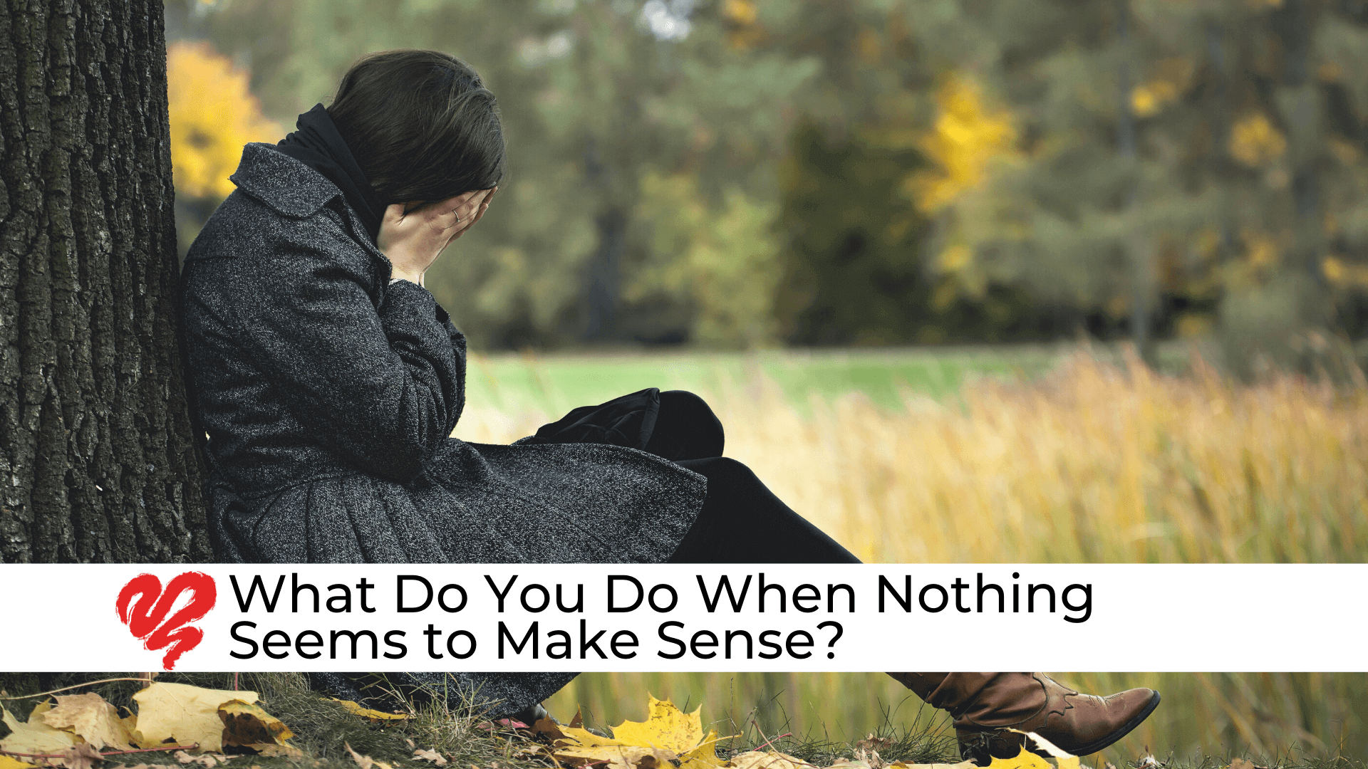 What Do You Do When Nothing Seems to Make Sense?