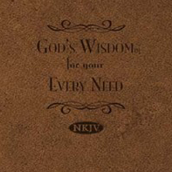 God's Wisdom For Your Every Need book (BK256)