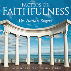 Factors of Faithfulness Series